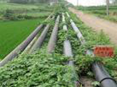 电厂输灰管道清洗