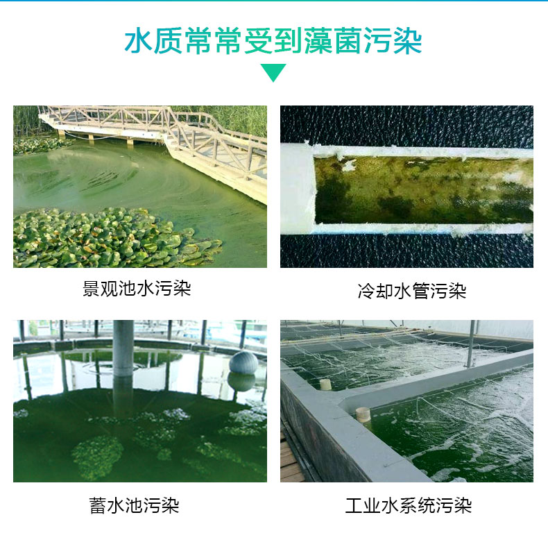 杀菌灭藻剂3.jpg